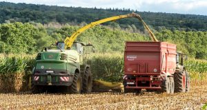 corn, harvest, agriculture, corn harvest, cornfield, combine harvester, tractor, equipment, machine, germany, sling, fields, forage corn, fall, agricultural engineering, agricultural machine