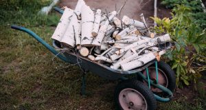 firewood, brushwood, wood, summer, august, cart, garden, vegetable garden, nature, wheelbarrow, wood, summer, cart, garden, garden, garden, garden, garden, vegetable garden, vegetable garden