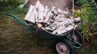 firewood, brushwood, wood, summer, august, cart, garden, vegetable garden, nature, wheelbarrow, wood, summer, cart, garden, garden, garden, garden, garden, vegetable garden, vegetable garden