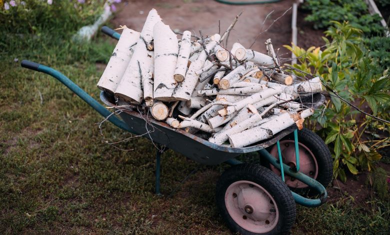 firewood, brushwood, wood, summer, august, cart, garden, vegetable garden, nature, wheelbarrow, wood, summer, cart, garden, garden, garden, garden, garden, vegetable garden, vegetable garden