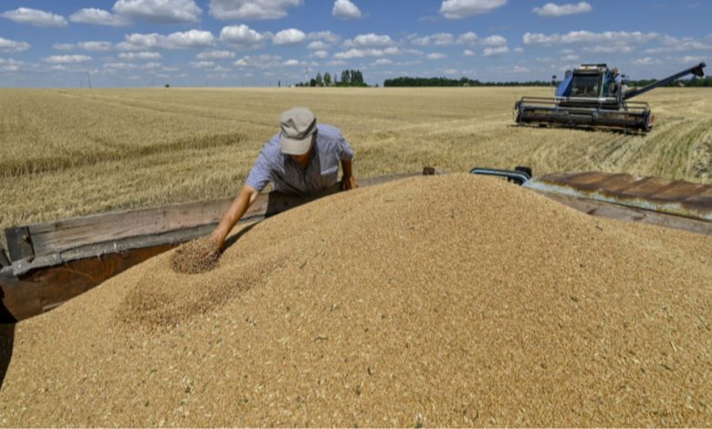 ЄС затвердить квоти на експорт української агропродукції у вересні 2025
