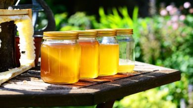 В Україні зібрали лише 20% меду від очікуваного