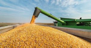 Агроекспорт України скоротився на 9% за півріччя 2025 року