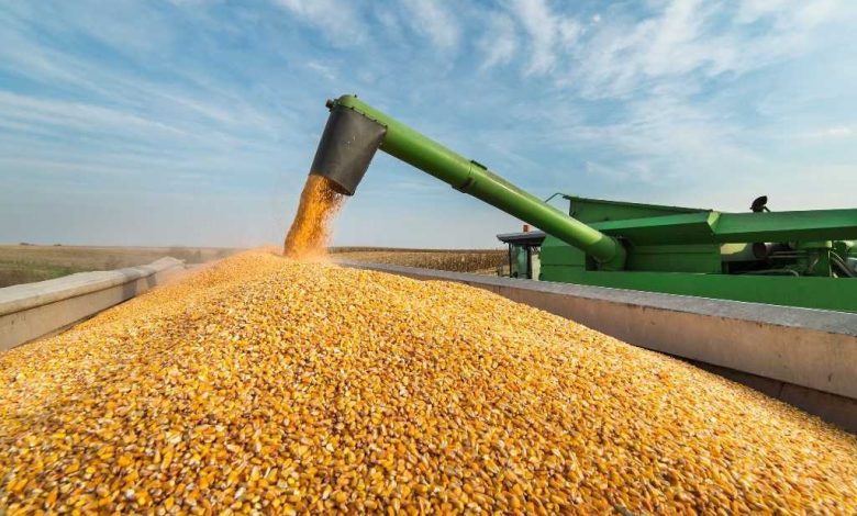 Агроекспорт України скоротився на 9% за півріччя 2025 року