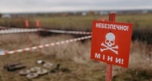 Кабмін затвердив порядок обстеження земель для надання податкових пільг