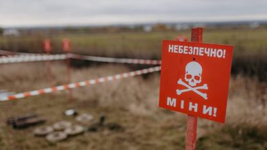 Кабмін затвердив порядок обстеження земель для надання податкових пільг
