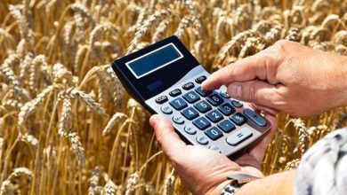 Українські фермери отримують лише 40% від світової ціни пшениці