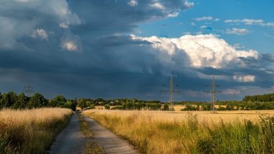 Погода в Україні 7 серпня: де чекати дощів, а де – спекоти до +33°