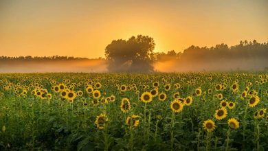 Погода в Україні 25 серпня