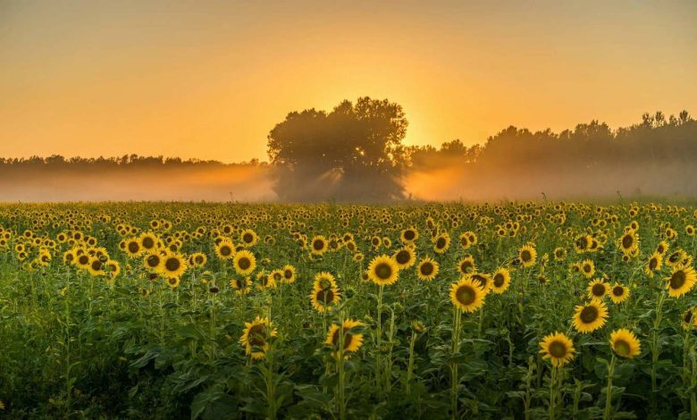 Погода в Україні 25 серпня