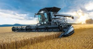 Україна очікує врожай пшениці на рівні 22–22,5 млн тонн