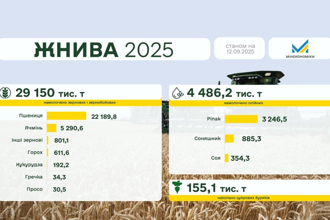 В Україні зібрано майже 30 млн тонн зерна нового врожаю: лідирують Одещина, Вінниччина та Кіровоградщина