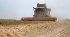 Аграрії з прифронтових територій можуть отримати гектарну субсидію