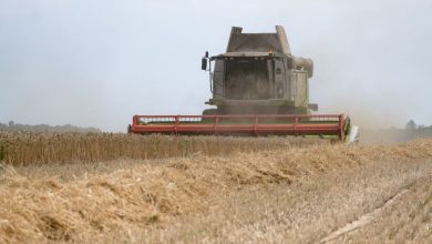 Аграрії з прифронтових територій можуть отримати гектарну субсидію