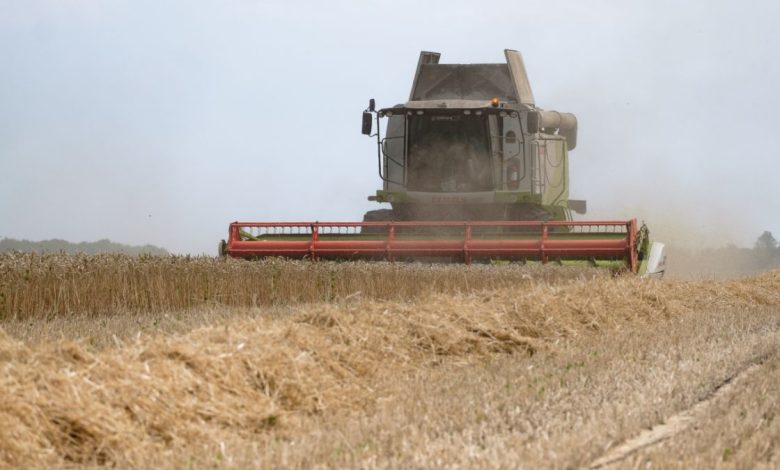 Аграрії з прифронтових територій можуть отримати гектарну субсидію