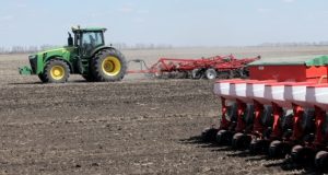 Україна у 2026 році збільшить площі посівів озимих зернових