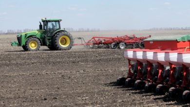 Україна у 2026 році збільшить площі посівів озимих зернових