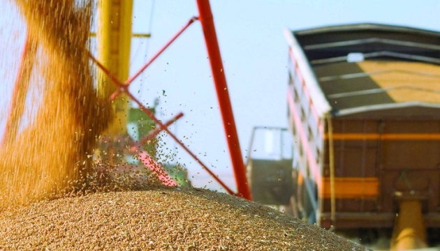 Експорт агропродукції з України в серпні 2025 року впав на 22%