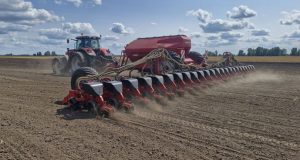 Українські аграрії засіяли третину площ ріпаком під урожай-2026