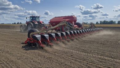 Українські аграрії засіяли третину площ ріпаком під урожай-2026