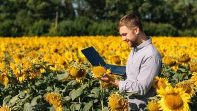 В Україні розширять кількість е-інструментів для аграріїв