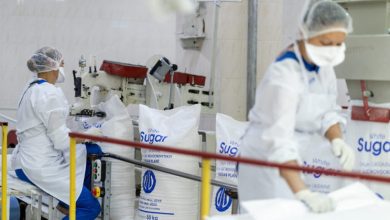 Два цукрові заводи Астарти розпочали сезон переробки буряків