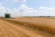 Субсидії для аграріїв Чернігівщини