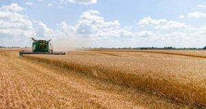 Субсидії для аграріїв Чернігівщини