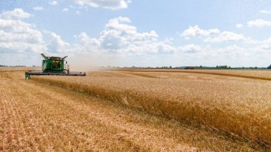 Субсидії для аграріїв Чернігівщини