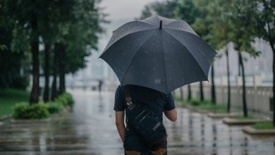Погода в Україні на 9 вересня: детальний прогноз по регіонах