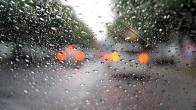 Погода в Україні 1 вересня: дощі в центрі та на сході