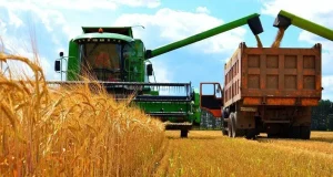В Україні зібрано майже 30 млн тонн зерна нового врожаю