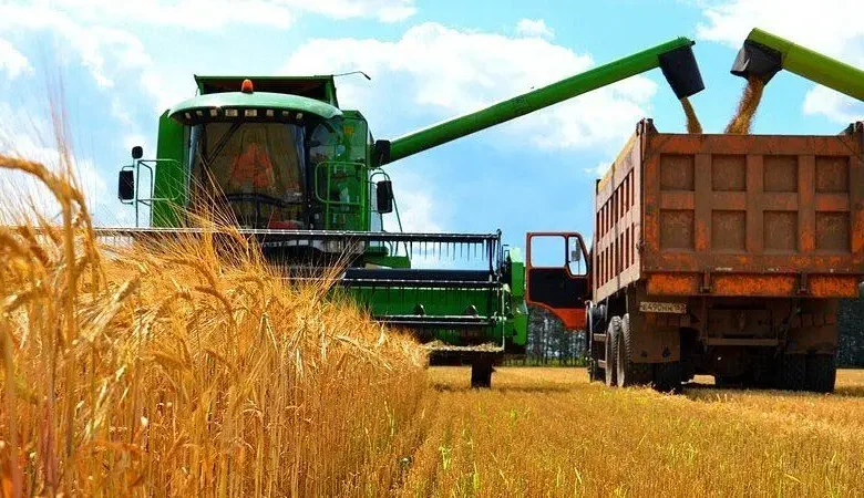В Україні зібрано майже 30 млн тонн зерна нового врожаю