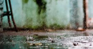 Погода в Україні на 16 вересня: де очікуються дощі та туман
