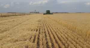 field, farming, agro, argentina, necochea, agro, agro, agro, agro, agro