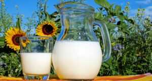 milk, glass, pitcher, fresh, fresh milk, drink, beverage, dairy, dairy products, glass pitcher, healthy, delicious, vitamins, liquid, cow's milk, protein, nutrition, milk, milk, milk, milk, milk