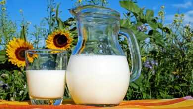milk, glass, pitcher, fresh, fresh milk, drink, beverage, dairy, dairy products, glass pitcher, healthy, delicious, vitamins, liquid, cow's milk, protein, nutrition, milk, milk, milk, milk, milk