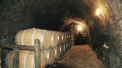 winery, came, cave, ismael arroyo winery, winery, winery, winery, winery, winery