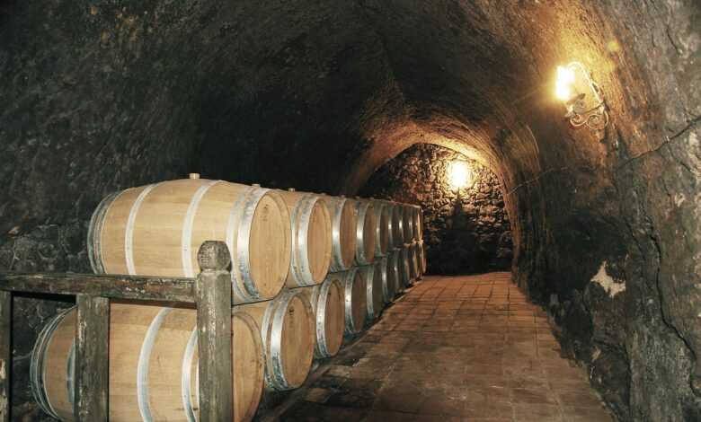 winery, came, cave, ismael arroyo winery, winery, winery, winery, winery, winery