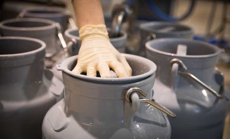 milk, cow's milk, dairy, fresh, food, cow, farm yard, agriculture, nourishment, milk can, direct marketing, milk, milk, milk, milk can, milk can, milk can, milk can, milk can, direct marketing