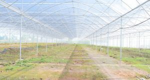 greenhouse, planting, building, agriculture, irrigation, greenhouse, greenhouse, greenhouse, greenhouse, greenhouse, irrigation