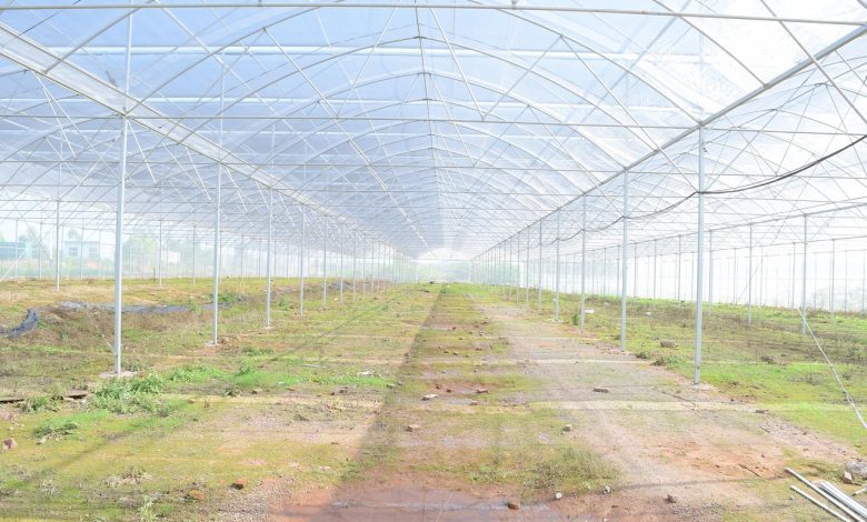 greenhouse, planting, building, agriculture, irrigation, greenhouse, greenhouse, greenhouse, greenhouse, greenhouse, irrigation