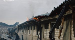 Російська атака на Харківщині знищила близько 13 тисяч свиней