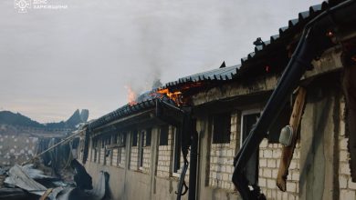 Російська атака на Харківщині знищила близько 13 тисяч свиней