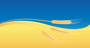 wheat, grain, crops, field, ukrainian flag, symbol, wheat, wheat, wheat, wheat, wheat, field