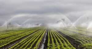 irrigation, agriculture, farm, irrigation, irrigation, irrigation, irrigation, irrigation