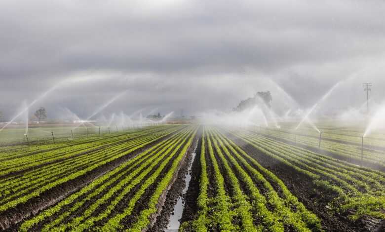 irrigation, agriculture, farm, irrigation, irrigation, irrigation, irrigation, irrigation