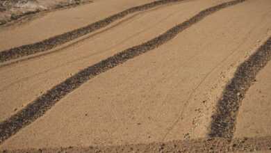 volcanic soil, field, farming, plowing, agriculture, rural
