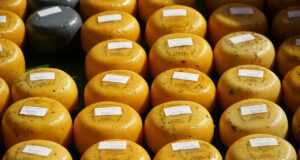 cheese, dutch cheese, market, food, cheese, cheese, cheese, cheese, cheese