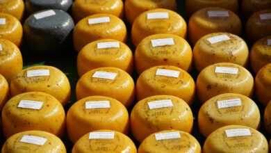 cheese, dutch cheese, market, food, cheese, cheese, cheese, cheese, cheese